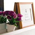 Гостевой дом Roomin 2*